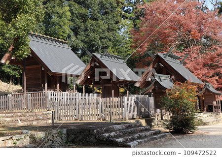 山口大神宮深秋景色 山口大神宮深秋景色 109472522