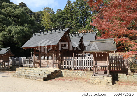 山口大神宮深秋景色 山口大神宮深秋景色 109472529