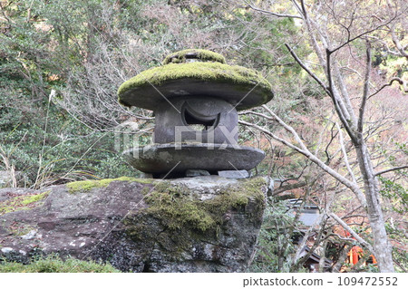 山口大神宮深秋景色 山口大神宮深秋景色 109472552