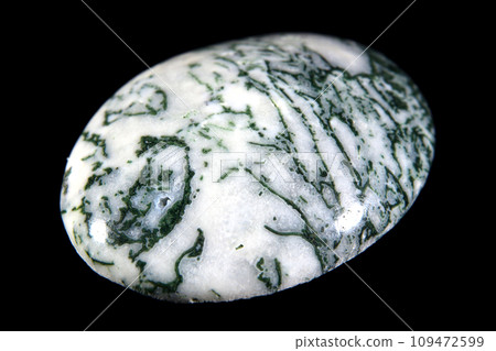 Green Tree Agate A stone that harbors scenery Green Tree Agate A stone that harbors scenery 109472599