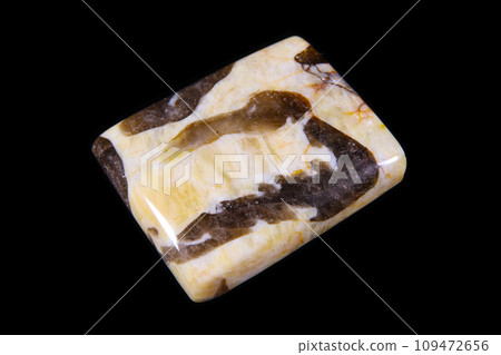 Septarian History of the Earth Septarian History of the Earth 109472656