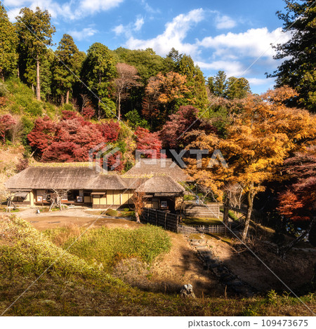 Nishiyama Palace in autumn leaves, Hitachiomiya City, Ibaraki Prefecture 109473675