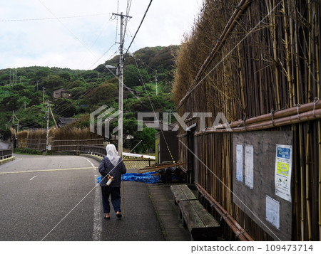 A woman walking back through the quaint townscape of Osawa-cho, Wajima City, Ishikawa Prefecture A woman walking back through the quaint townscape of Osawa-cho, Wajima City, Ishikawa Prefecture 109473714