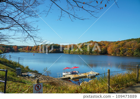 Lake Miyazawa in autumn colors 109473889