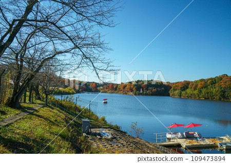 Lake Miyazawa in autumn colors 109473894