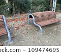 秋天的公園長椅和落葉，大阪府茨城市 109474695