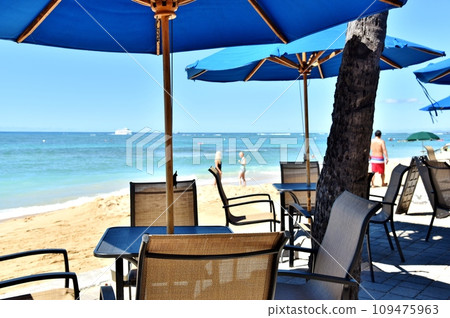 夏威夷的假期 109475963