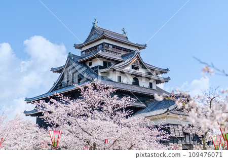 島根縣松江市,國寶松江城天守閣,櫻花盛開,晴空萬裡 島根縣松江市,國寶松江城天守閣,櫻花盛開,晴空萬裡 109476071