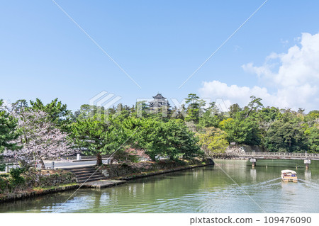 Matsue City, Shimane Prefecture, Matsue Castle and Horikawa Pleasure Boat in spring when cherry blossoms are in full bloom Matsue City, Shimane Prefecture, Matsue Castle and Horikawa Pleasure Boat in spring when cherry blossoms are in full bloom 109476090