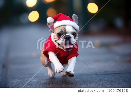 Cute dog Dog in Santa hat running with... - Stock Illustration ...