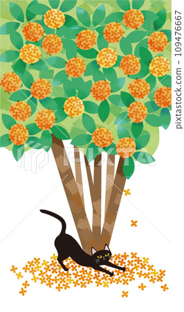 Osmanthus and black cat 109476667