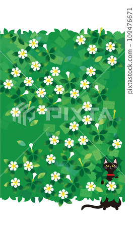 梔子花裡的黑貓 梔子花裡的黑貓 109476671