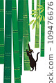 竹林裡的黑貓 109476676