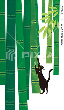 竹林裡的黑貓 竹林裡的黑貓 109476676