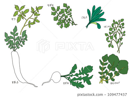 春天的七味藥材圖解 春天的七味藥材圖解 109477437