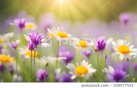 Spring flowers create a smooth background 109477591