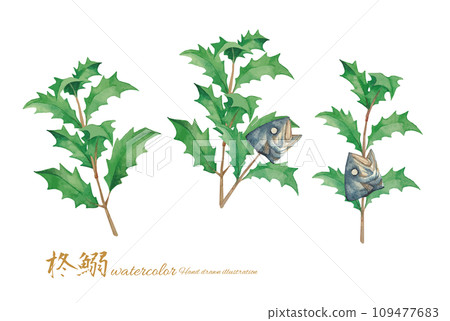 水彩畫 Hiiragi 沙丁魚向量圖素材 109477683