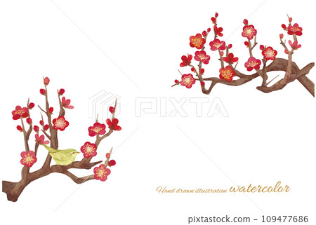 水彩畫梅花的向量圖 水彩畫梅花的向量圖 109477686