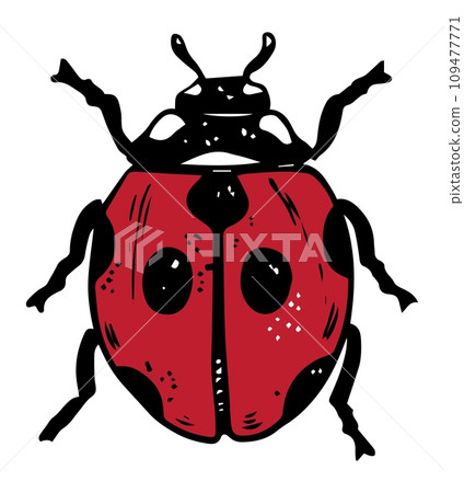 Single sketch style red ladybug illustration black lineart isolated on white background Single sketch style red ladybug illustration black lineart isolated on white background 109477771