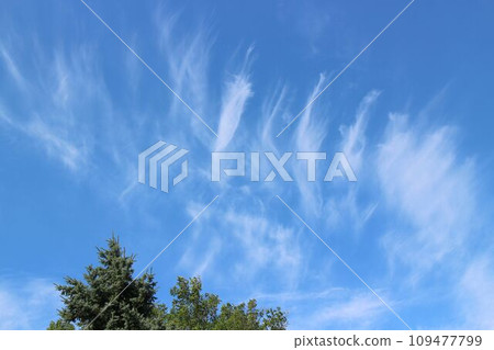 卷雲預示天空中有強風流動 109477799