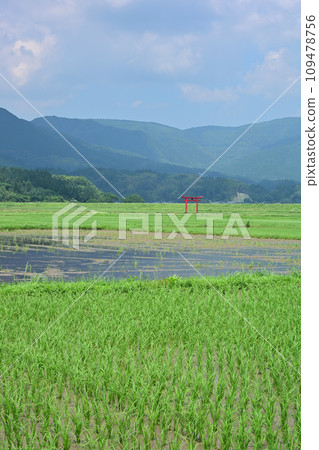 Torii of Sugawara Shrine 109478756