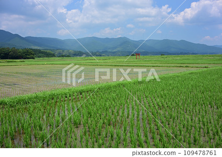 菅原神社鳥居 菅原神社鳥居 109478761