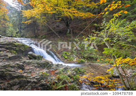 Waterfall on a stream in forest at autumn. Waterfall on a stream in forest at autumn. 109478789