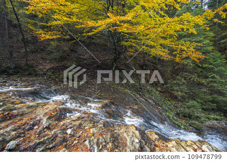 Waterfall on a stream in forest at autumn. Waterfall on a stream in forest at autumn. 109478799