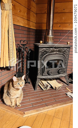 A pheasant tabby cat lives in a log house, a villa in Kurohime Highlands. 109479071