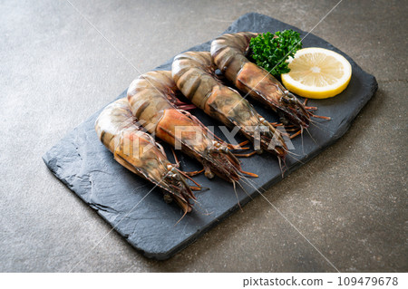 fresh tiger prawn or shrimp 109479678
