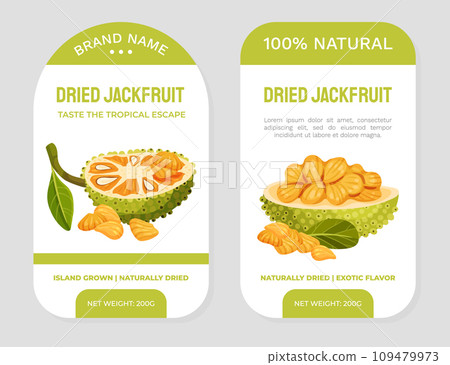 Dried Jackfruit Natural Label Design with Green Tropical Fruit Vector Template 109479973