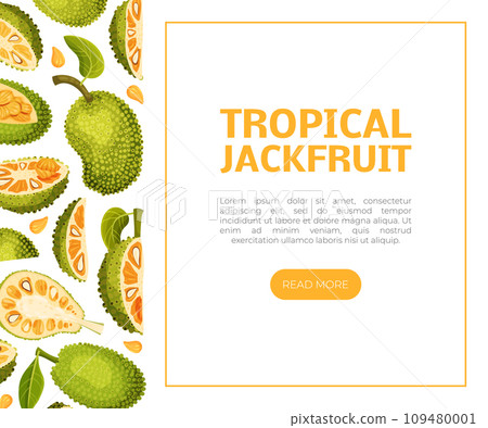 Jackfruit Natural Banner Design with Green Tropical Fruit Vector Template 109480001