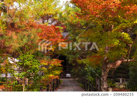 京都的秋天,青棱寺(佐賀釋迦堂),金庫覆蓋著秋葉 京都的秋天,青棱寺(佐賀釋迦堂),金庫覆蓋著秋葉 109480235