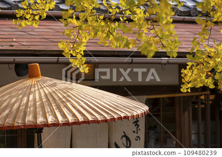 Autumn in Kyoto, Seiryoji Temple (Saga Shakado), field umbrellas and ginkgo biloba 109480239