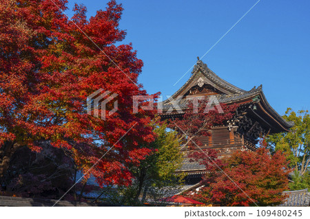 Kyoto in autumn, Seiryoji Temple (Saga Shakado), autumn leaves and Niomon gate Kyoto in autumn, Seiryoji Temple (Saga Shakado), autumn leaves and Niomon gate 109480245