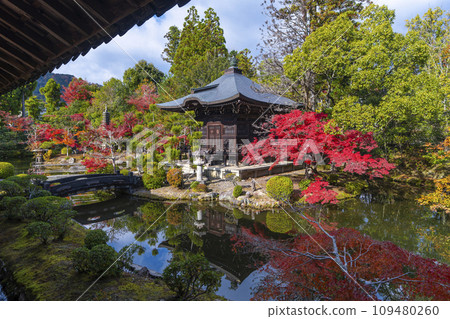 京都的秋天,青棱寺(嵯峨釋迦堂),從走廊看到的秋葉弁天堂 京都的秋天,青棱寺(嵯峨釋迦堂),從走廊看到的秋葉弁天堂 109480260