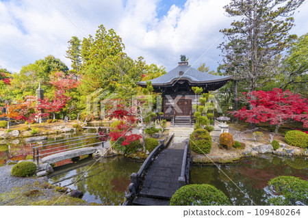 Autumn in Kyoto, Seiryoji Temple (Saga Shakado), Bentendo Hall in autumn leaves seen from the breezeway 109480264
