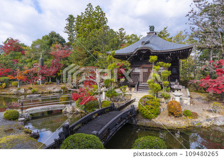 京都的秋天，青棱寺（嵯峨釋迦堂），從走廊看到的秋葉弁天堂 109480265