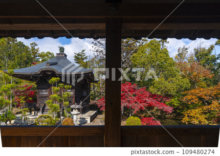 Seiryoji Temple (Saga Shakado) - Bentendo Hall in autumn leaves seen from the breezeway Seiryoji Temple (Saga Shakado) - Bentendo Hall in autumn leaves seen from the breezeway 109480274