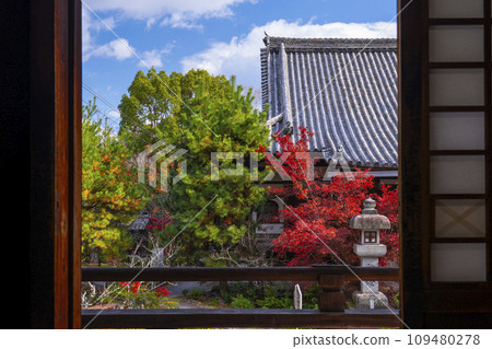 Seiryoji Temple (Saga Shakado) during the autumn leaves season, Amida-do Hall seen from the main hall 109480278