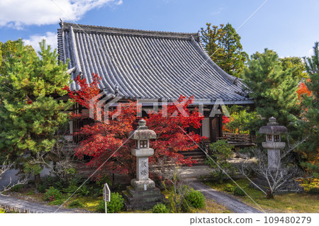 Kyoto in autumn, Seiryoji Temple (Saga Shakado), autumn leaves and Amida-do Hall 109480279