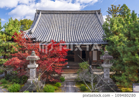 Kyoto in autumn, Seiryoji Temple (Saga Shakado), autumn leaves and Amida-do Hall 109480280