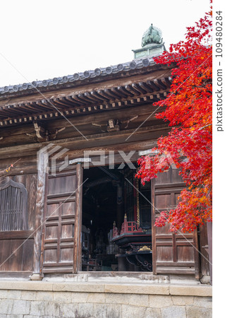 Autumn in Kyoto, Seiryoji Temple (Saga Shakado), autumn leaves and collection of sutras Autumn in Kyoto, Seiryoji Temple (Saga Shakado), autumn leaves and collection of sutras 109480284