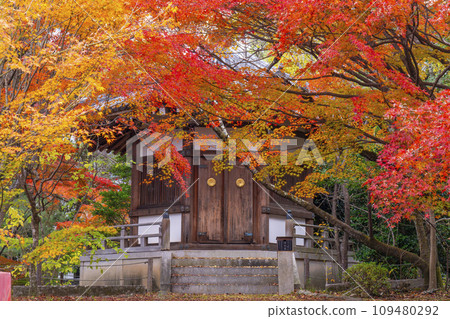 秋天的京都、青棱寺（佐賀釋迦堂）、秋葉和聖德殿 109480292