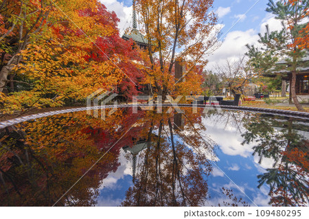 Kyoto in autumn, Seiryoji Temple (Saga Shakado), autumn leaves and Tahoto pagoda Kyoto in autumn, Seiryoji Temple (Saga Shakado), autumn leaves and Tahoto pagoda 109480295
