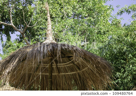 Display of local produce at outdoor farmers market 109480764
