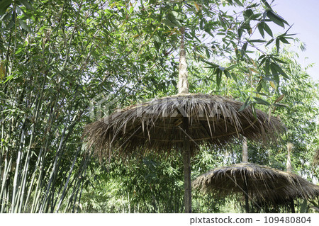 Display of local produce at outdoor farmers market Display of local produce at outdoor farmers market 109480804