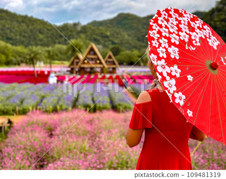 Flower garden, Hokkaido park in Khao Yai, Thailand 109481319