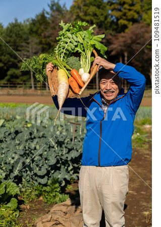 農夫在田裡種植蔬菜 109481519