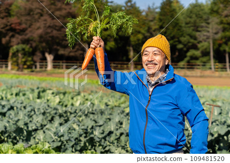 農夫在田裡種植蔬菜 109481520